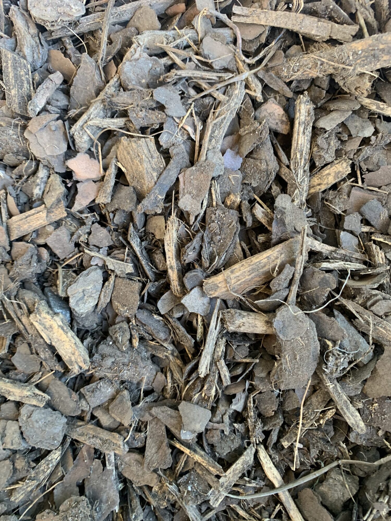 Forest Blend