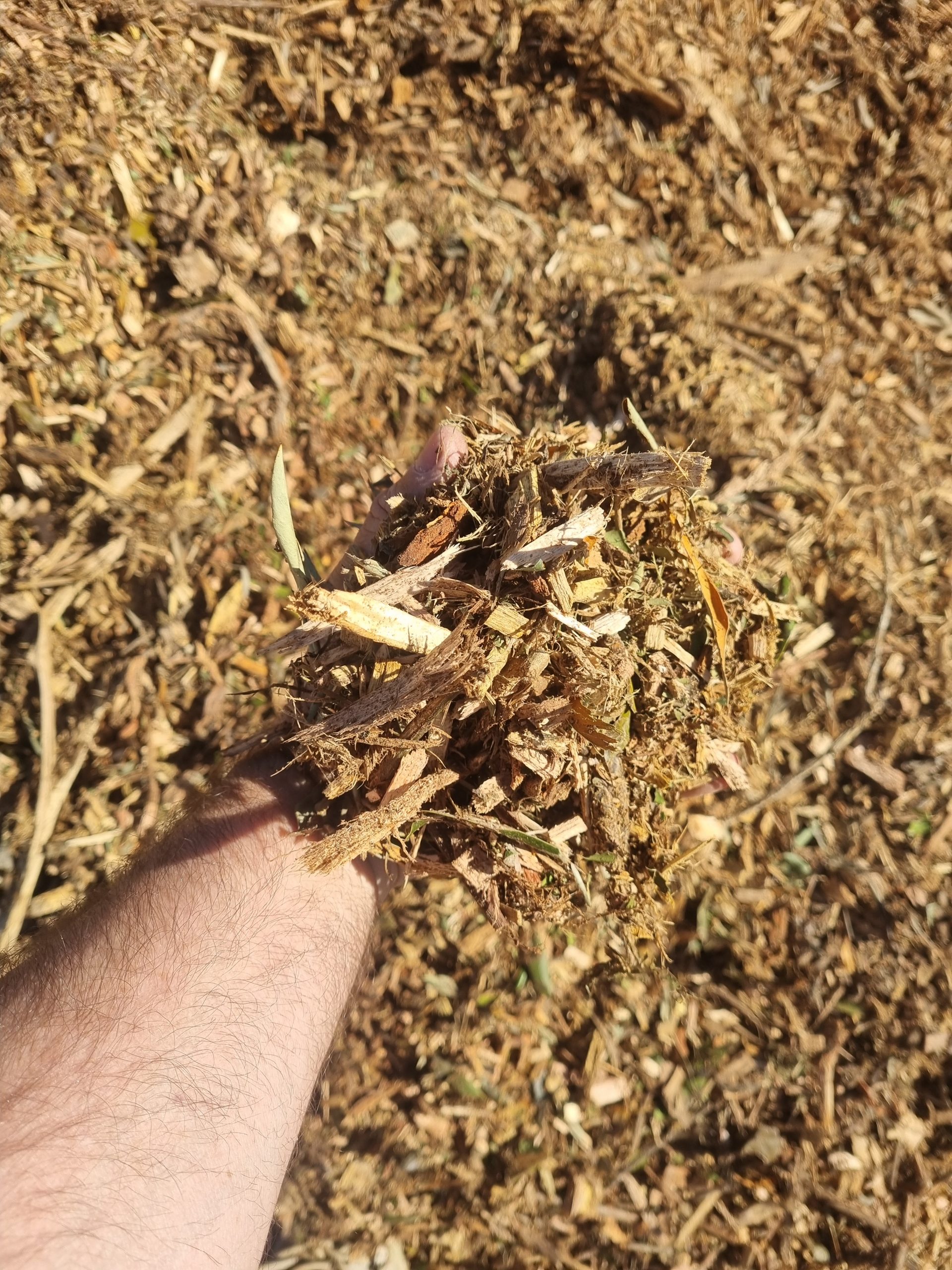 Tree Loppers Mulch Nambour Landscapes